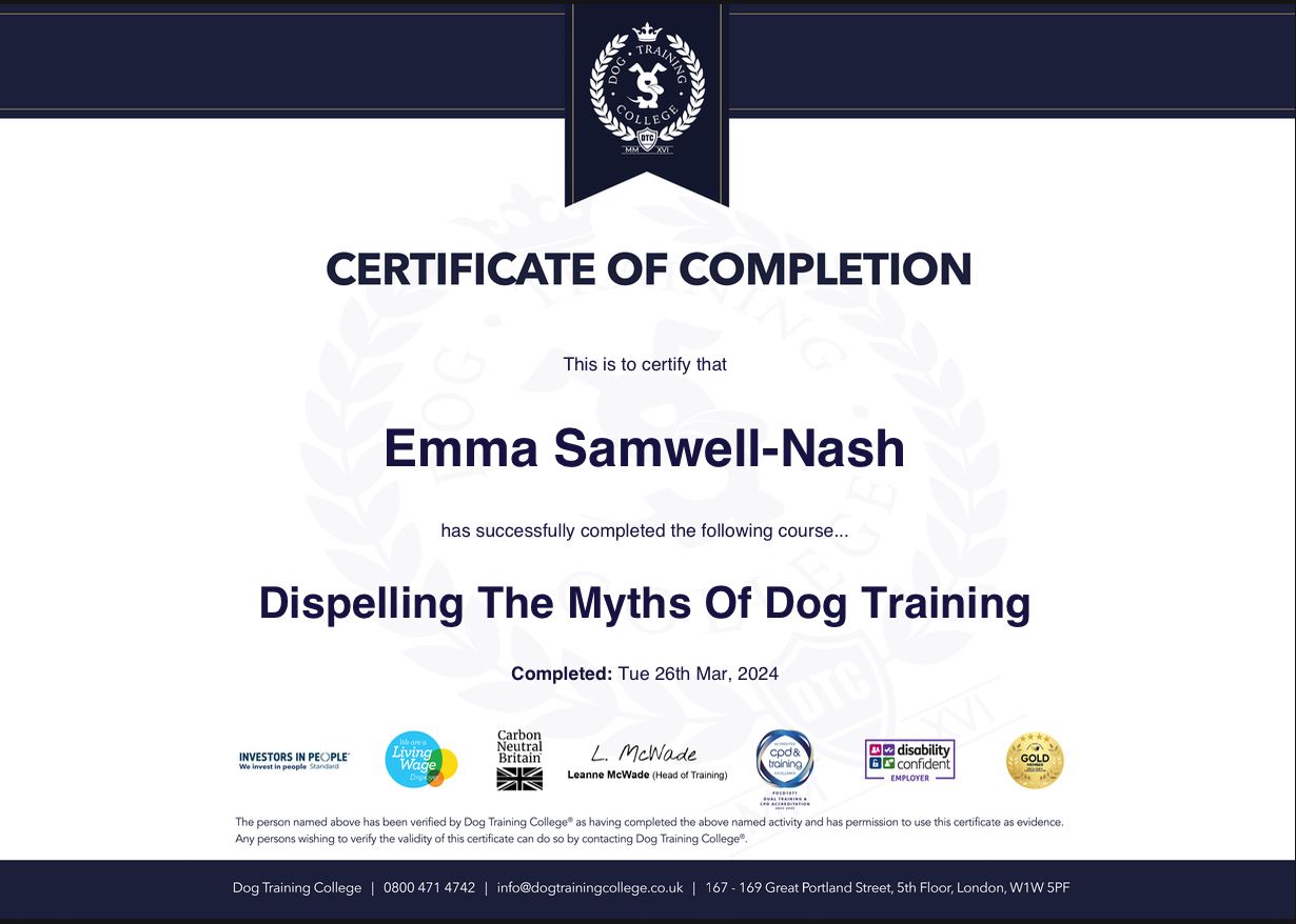 Certificate: Dispelling Training Myths