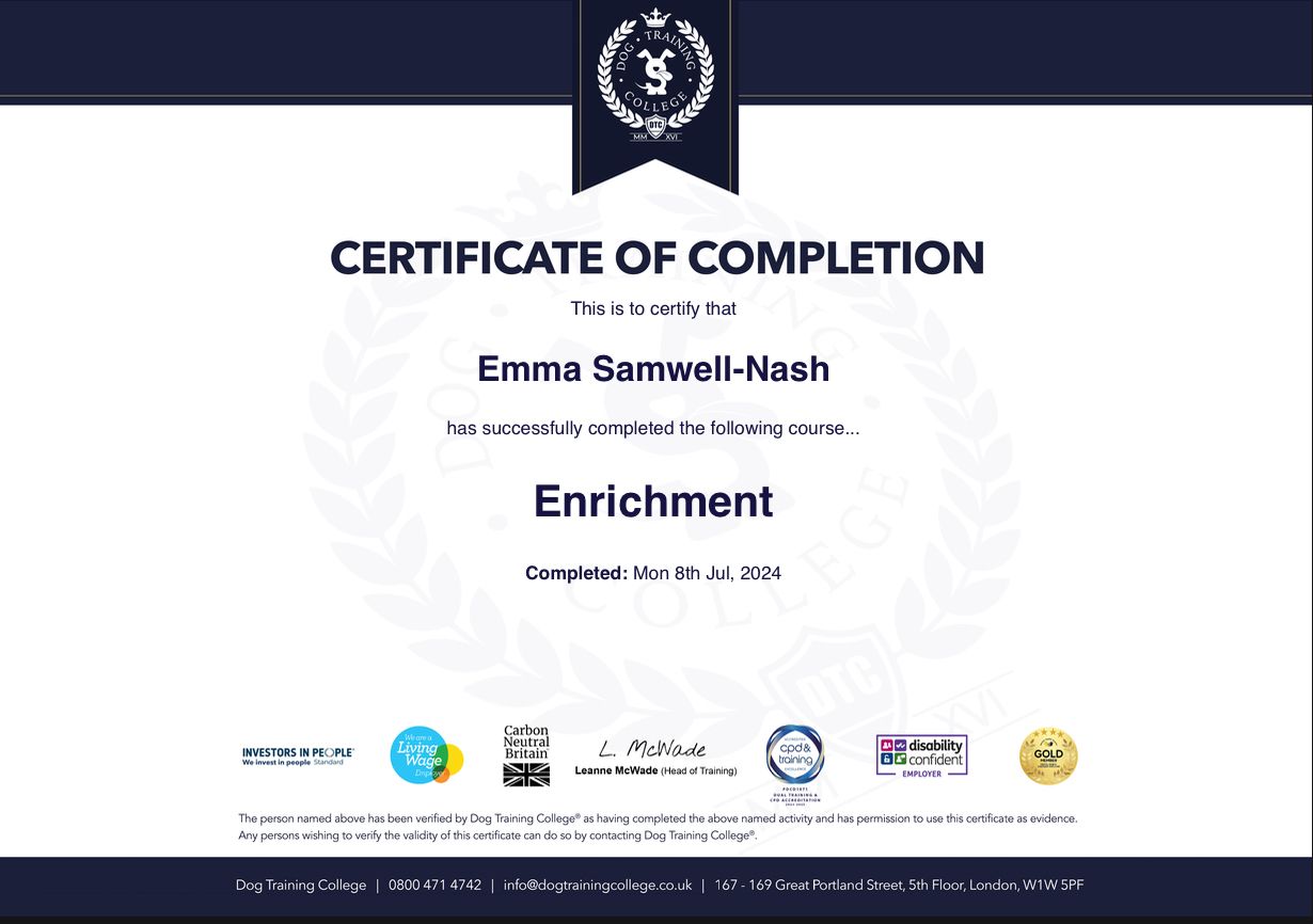 Certificate: Canine Enrichment