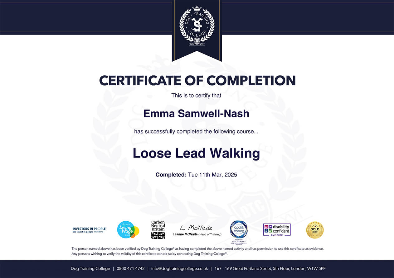 Certificate: Loose Lead Walking