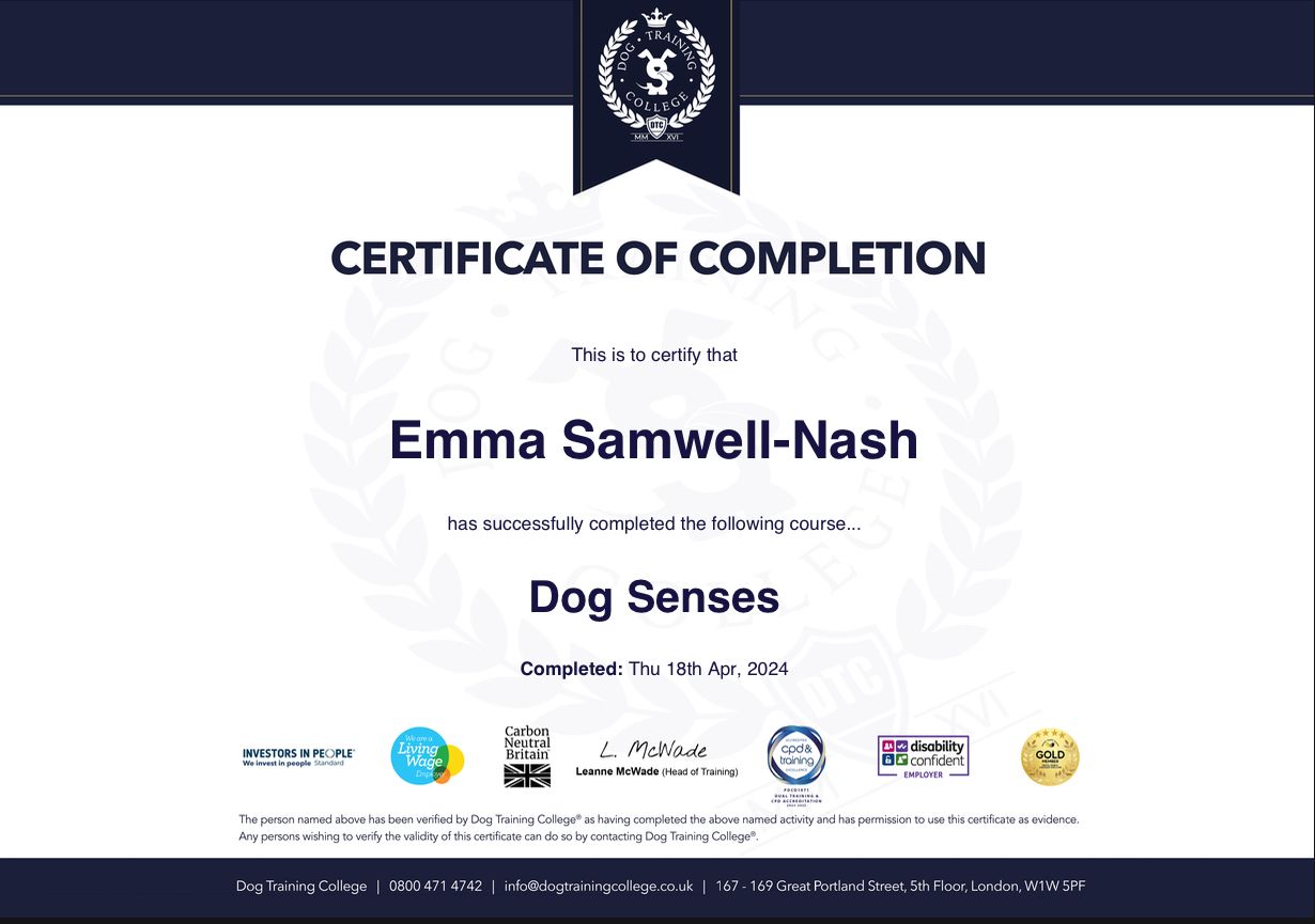 Certificate: Dog Senses